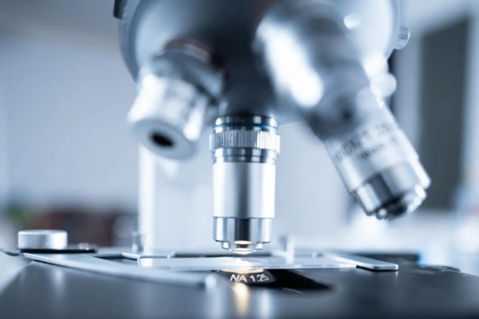 InCommon Labs Testing